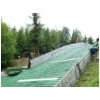 Rueckershausen 06 2012 150.JPG
